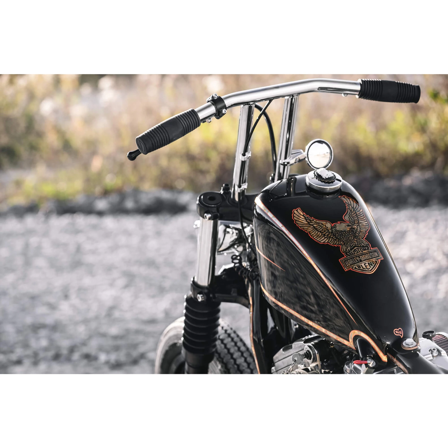 T-Bars Handlebars - 10 Inch Rise - 1 Inch - Chrome 15 T-Bars Handlebars - 10 Inch Rise - 1 Inch - Chrome - Image 13